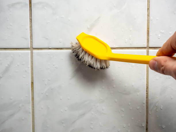 Best Best Mold Removal Companies  in Meadow Woods, FL