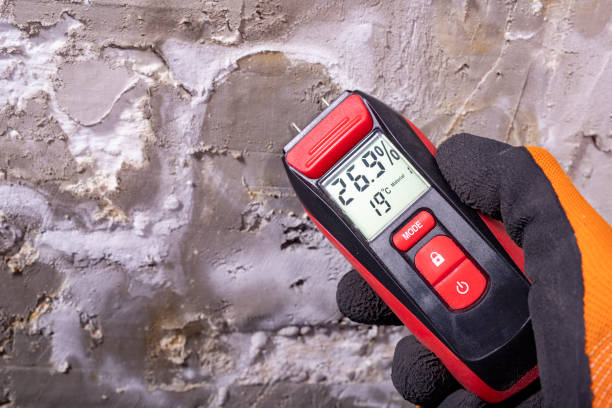 Mold Testing and Removal in Meadow Woods, FL
